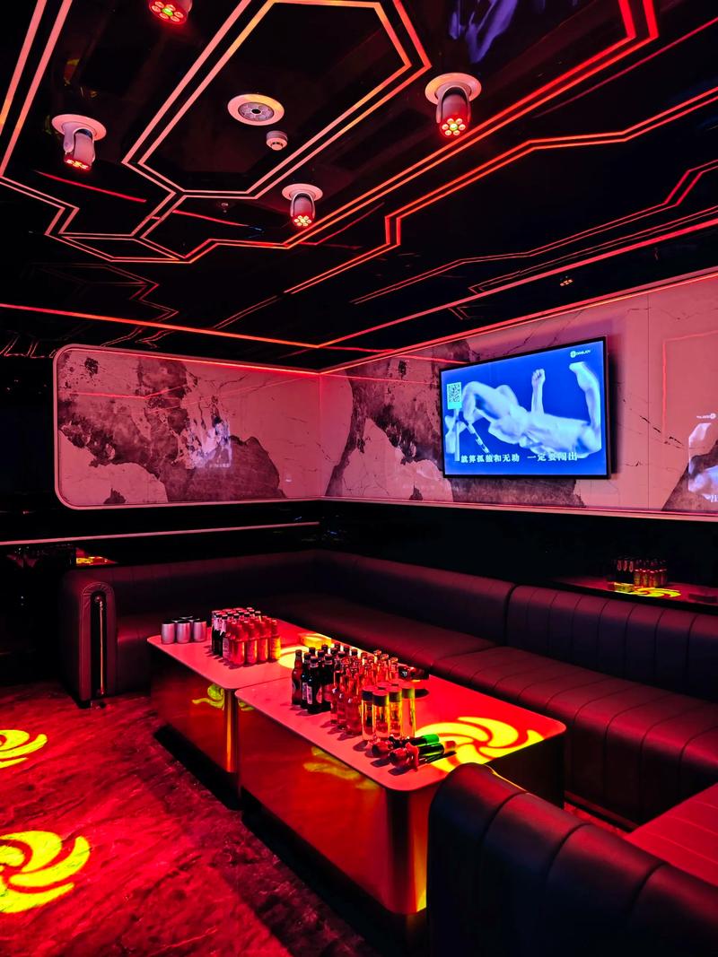 聊城商务ktv多少钱一个小时揭秘-临清市ktv预订